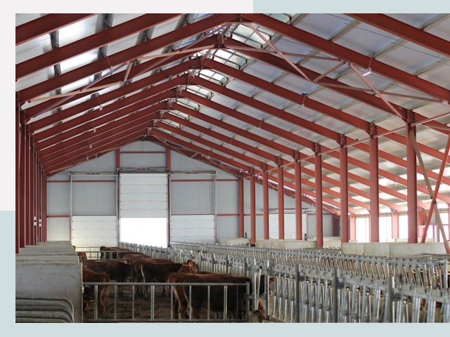 Строительство коровников в Балтийске