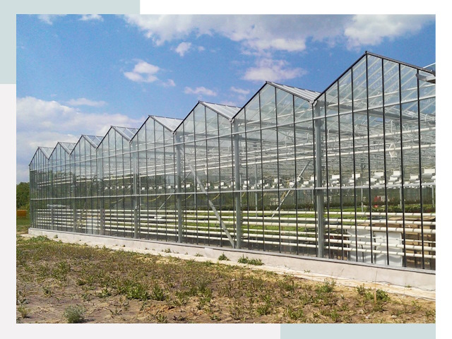 Строительство теплиц в Балтийск от 612 руб. за м²