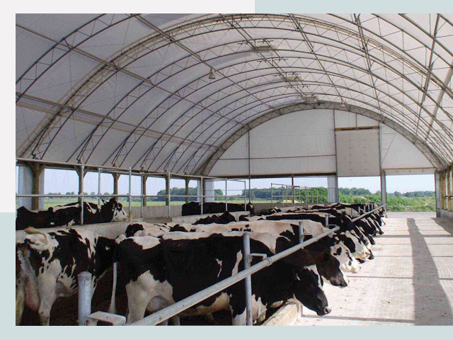 Тентовые коровники в Балтийске